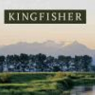 kingfisher99