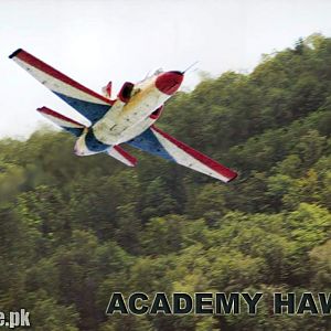 K-8 with full ABs while performing a low level aerobat