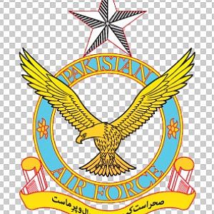 Pakistan Air Force: Logo