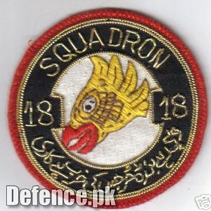air force squadron patch