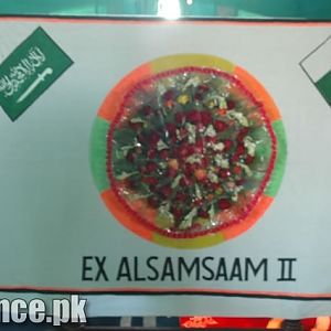 Exercise AL-SASAAM-2