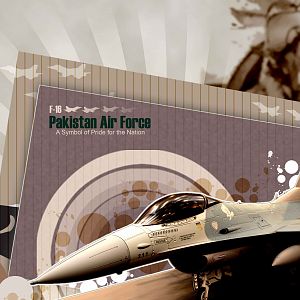 PAKISTAN AIR FORCE (F-16)