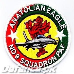 PAF Anatolian Eagle Patch