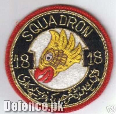 air force squadron patch