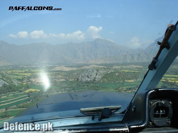 Falcons For Pakistan Air Force