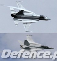 JF-17 Thunder, LERX Comparison with F/A-18 Super Hornet