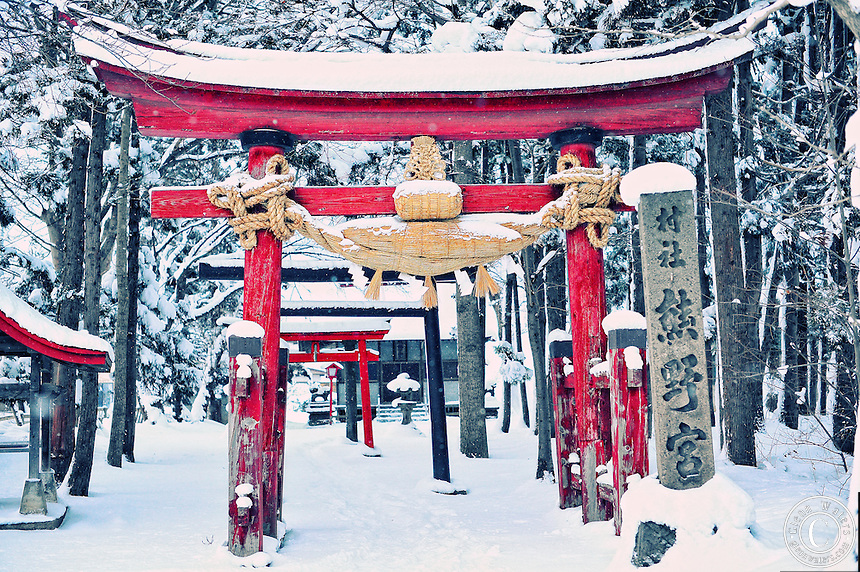 Japan-in-Winter-Shrine.jpg