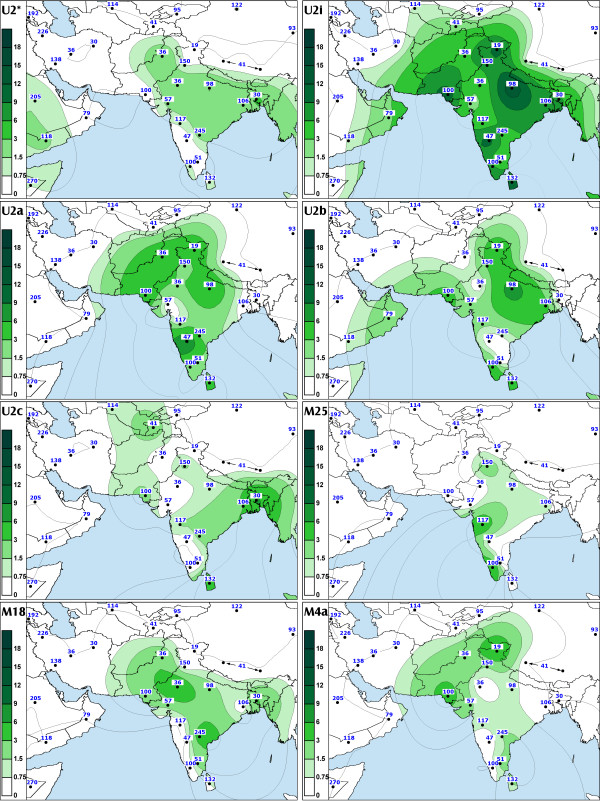 Most-of-the-extant-mtDNA-boundaries-in-South-and-Southwest-Asia-were-likely-shaped-during-the-1471-2156-5-26-2.jpg