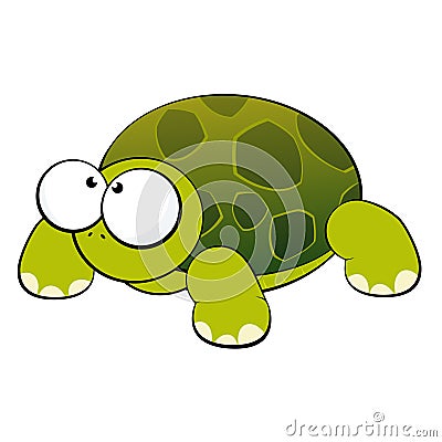 cute-turtle-9243035.jpg