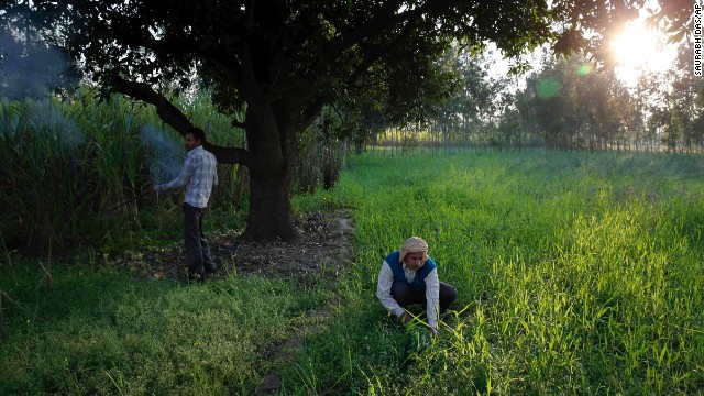 140225182416-01-india-tiger-horizontal-gallery.jpg