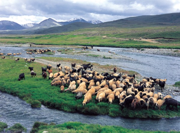 deosai-plateau-tour_6.jpg