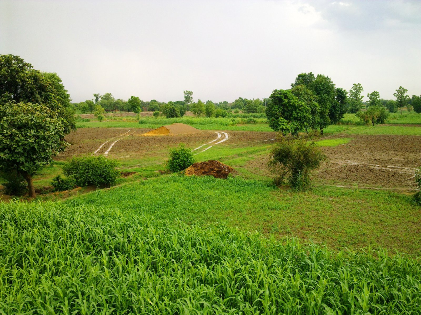 villages-of-punjab-pakistan-24.jpg