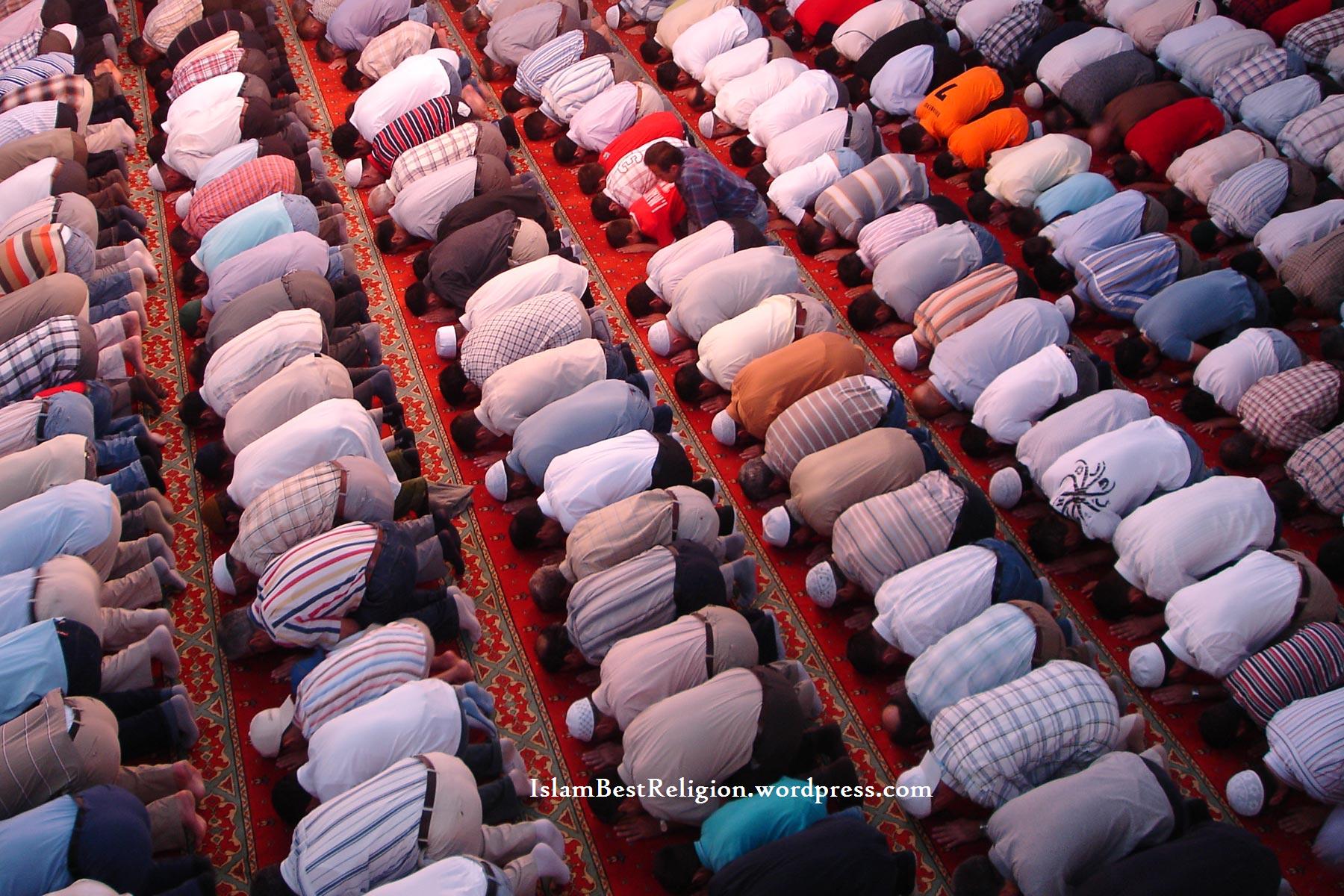 mosque-prayer.jpg