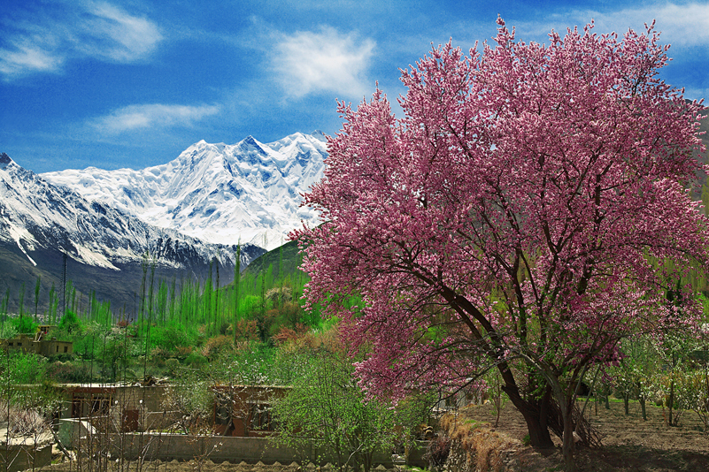 Hunza%20Autumn%20Tours%20.jpg