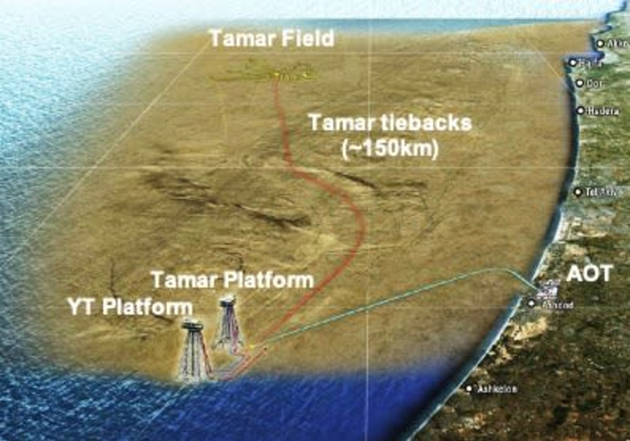 A map of the Tamar field (courtesy)