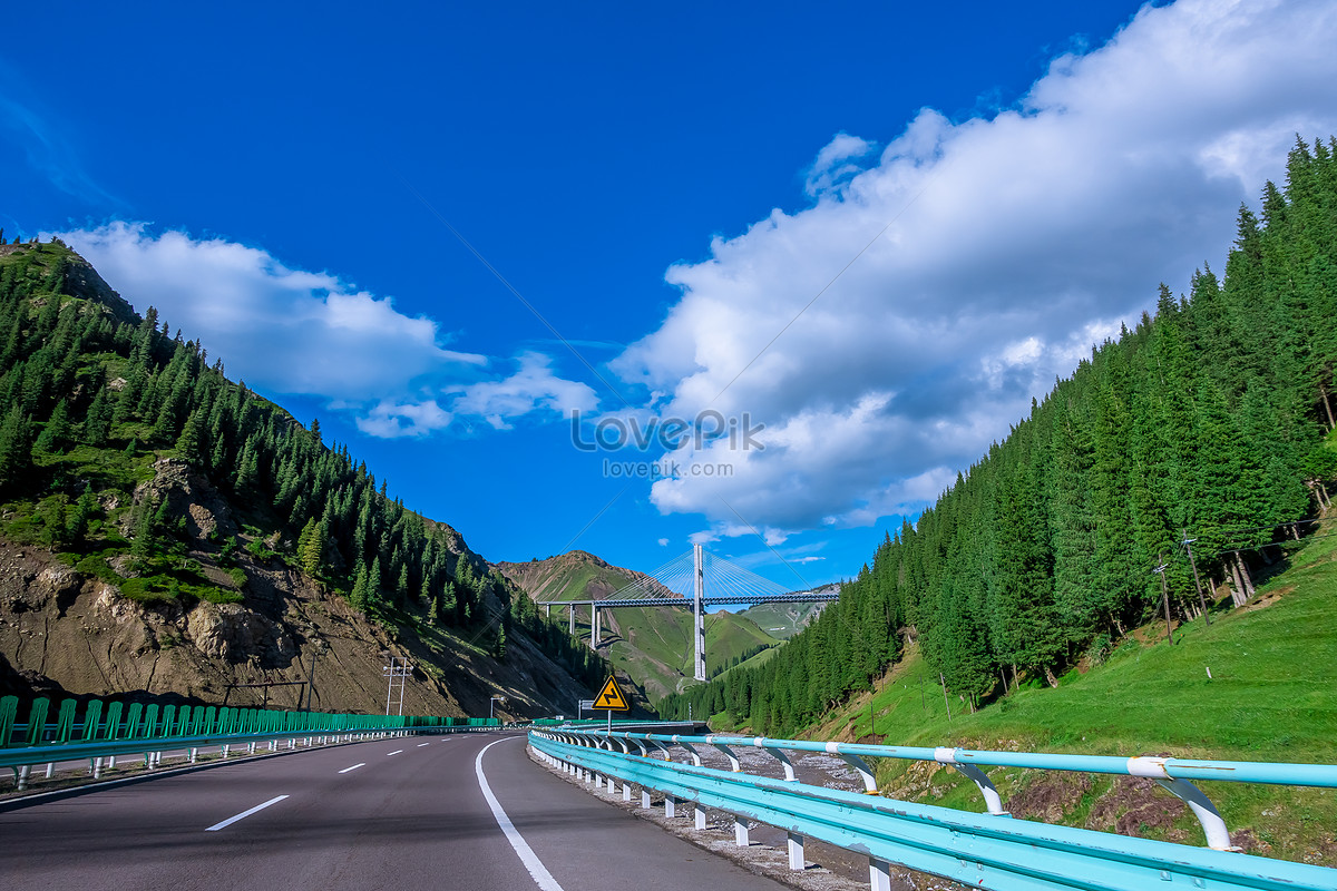 9560.jpg_wh1200.jpg