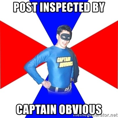 post-inspected-by-captain-obvious.jpg