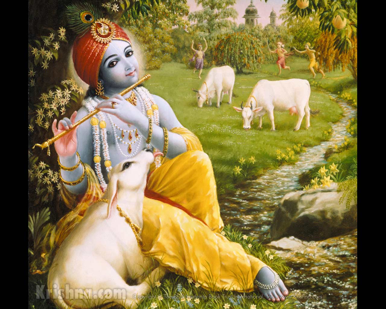 Krishna2.jpg