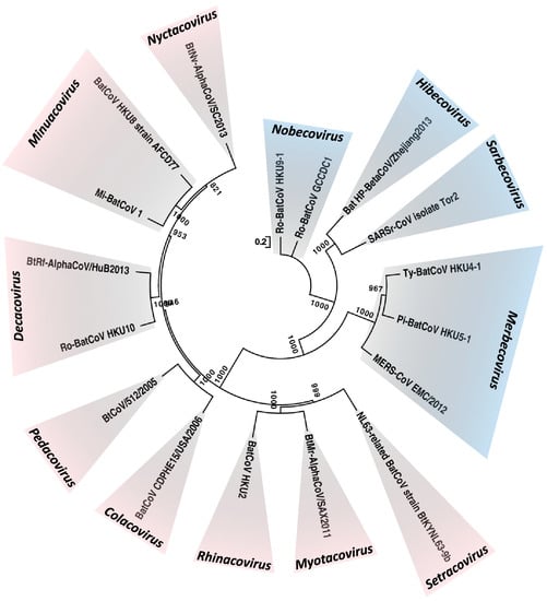 viruses-11-00174-g001-550.jpg