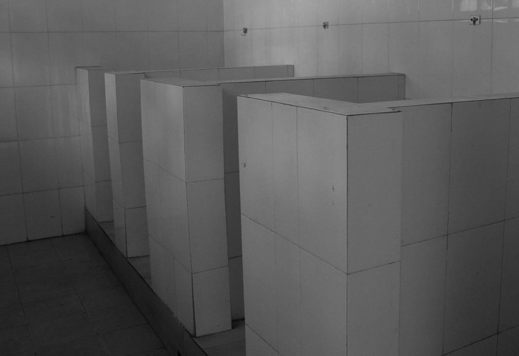 Toilet-with-no-doors1-1024x704.jpg