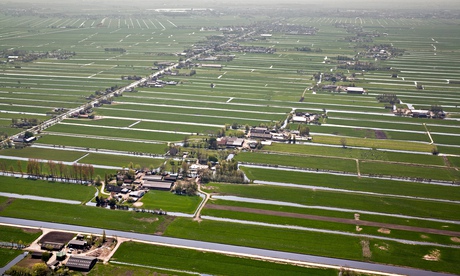 Netherlands-Kamerik-Farms-011.jpg