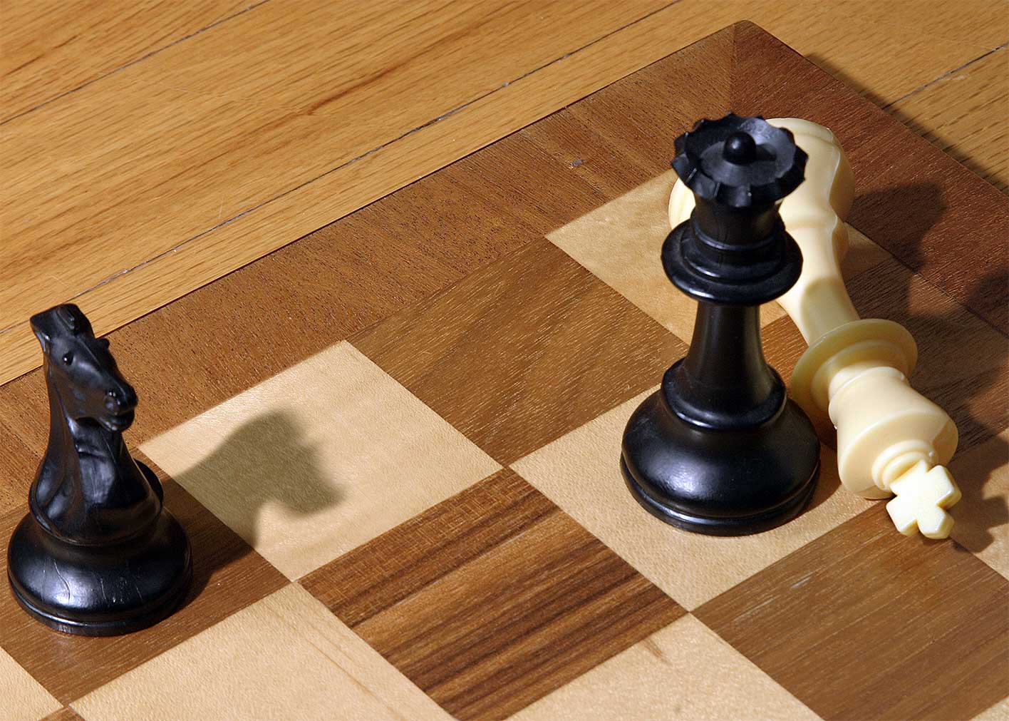 Checkmate.jpg