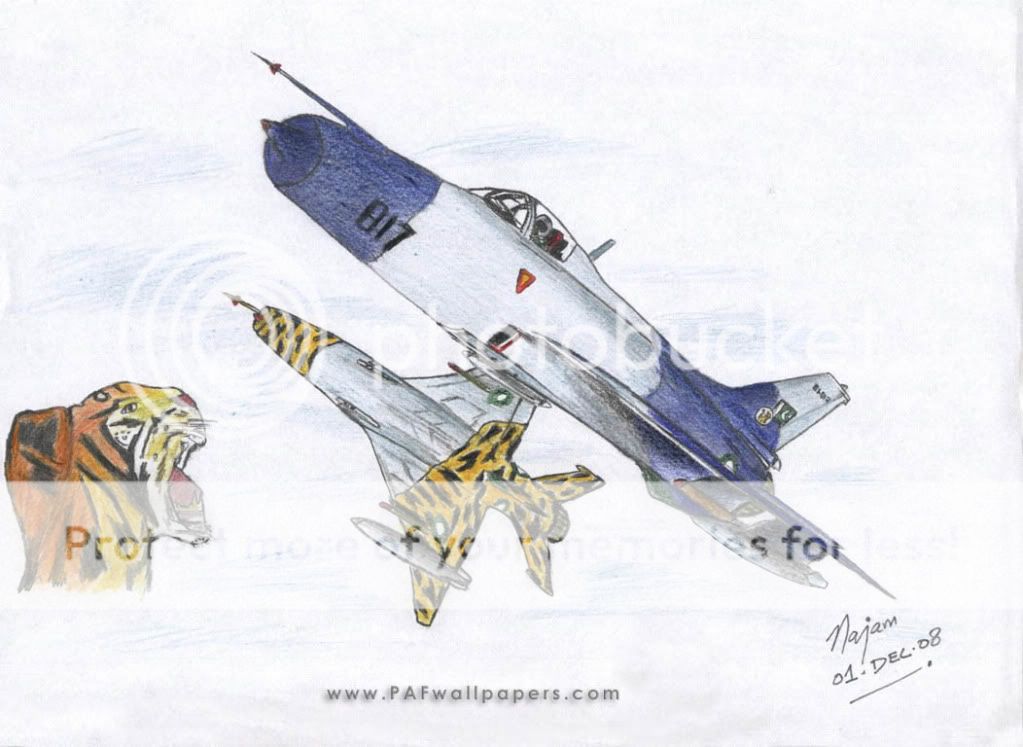 F-7PG_Tigers_50yrs.jpg
