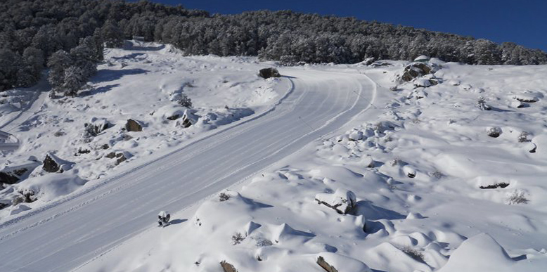 auli-gorsan-trek.jpg