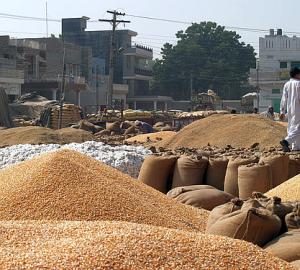 sahiwal-grain-market.jpg