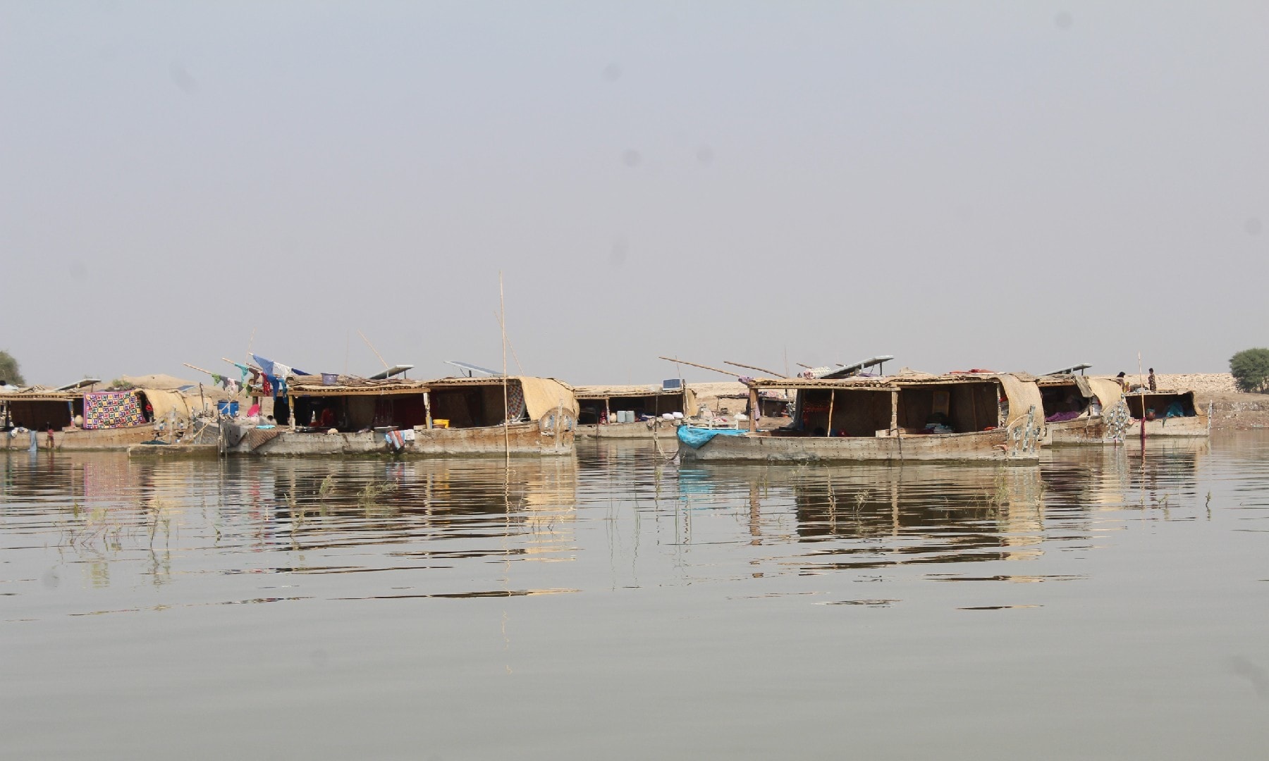 Lake Manchar; Abu Bakar Sheikh