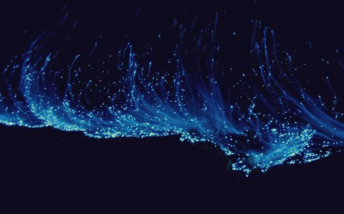 Bioluminescence-in-the-Andaman-Sea.jpg