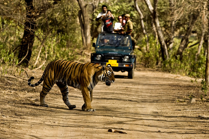 jim-corbett-tiger-national-park.jpg