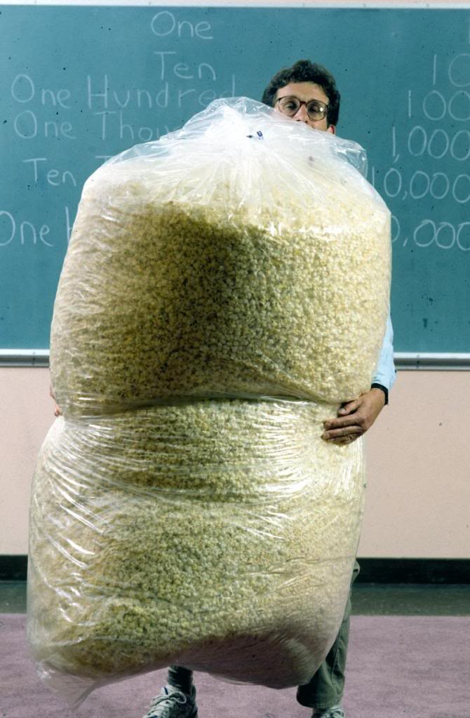 popcornhugebags.jpg