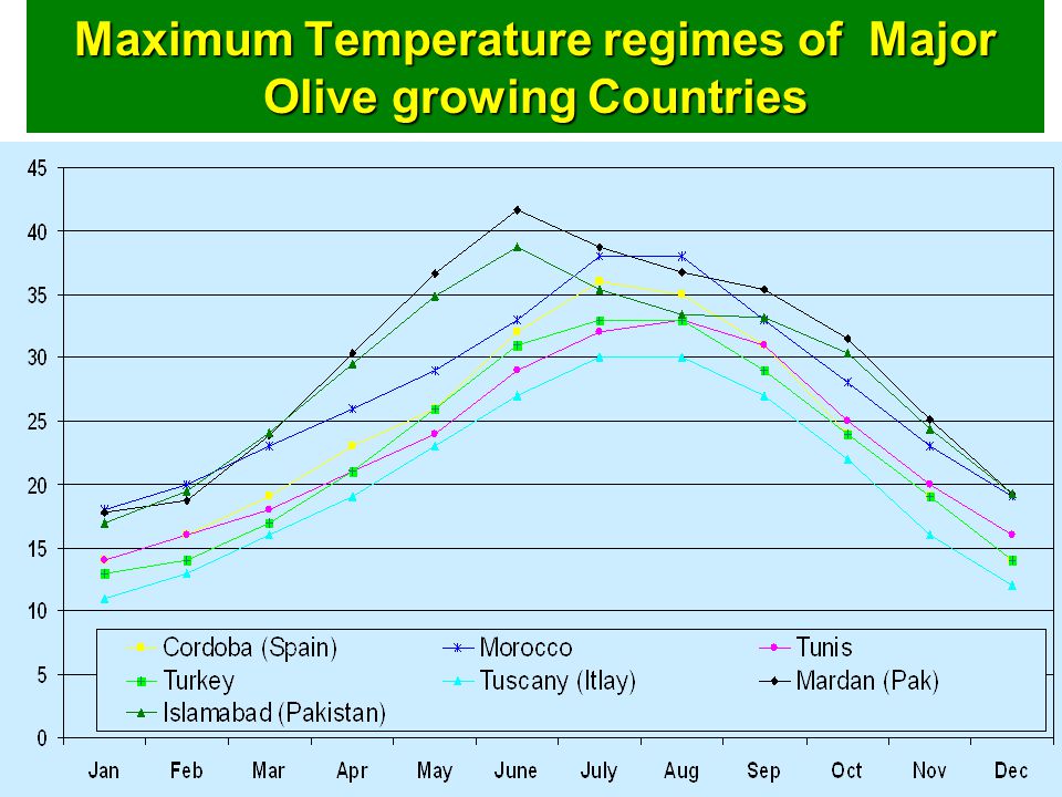 Maximum+Temperature+regimes+of+Major+Olive+growing+Countries.jpg