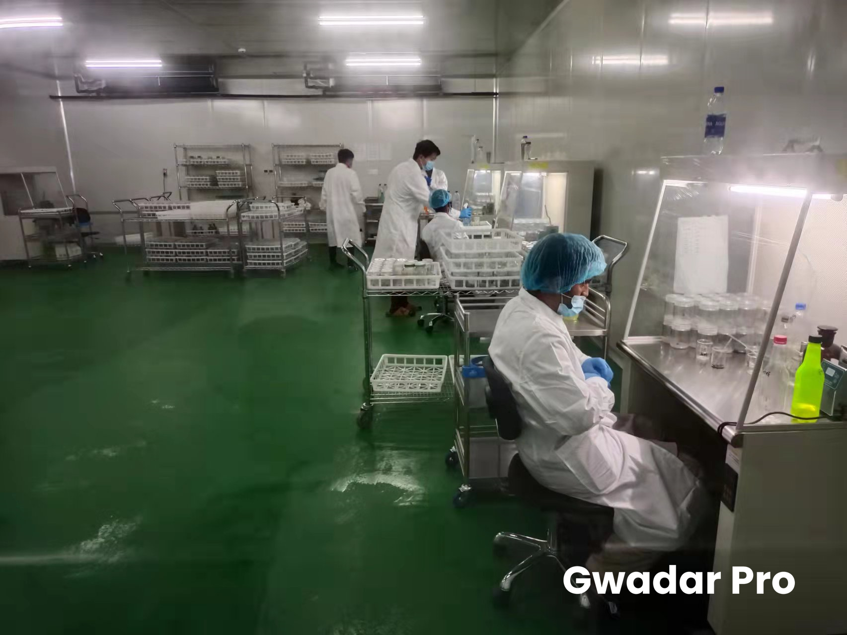 For a greener and richer Gwadar: B&R Tropical Arid Non-wood Forest Center