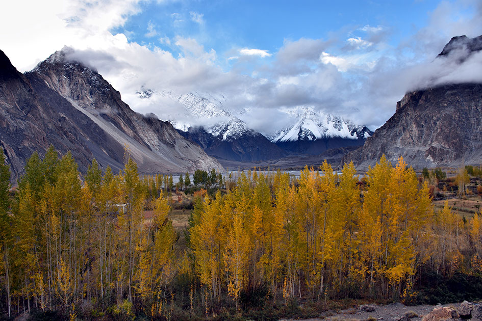 Trees-in-Autumn-Fire-at-Hunza.jpg