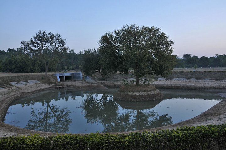 Botanical-Garden-Chandigarh.jpg