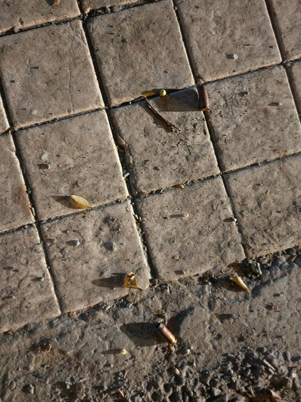 Bullets could be seen lying on the ground after unknown men opened fire at Sardar Latif Khosa’s house in Lahore in the early hours of Friday. — Photo provided by Wasim Riaz 