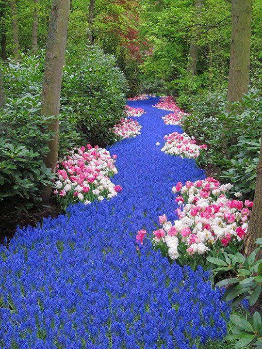 Holland.-River-of-Flowers-Keukenhof.jpg