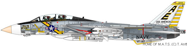 f14-squadron-vf142-01.jpg