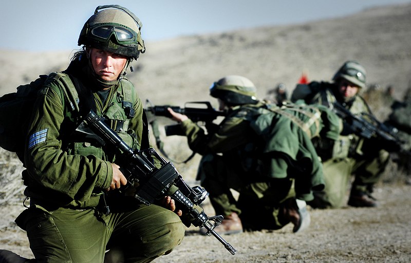 800px-Flickr_-_Israel_Defense_Forces_-_Karakal_Winter_Training.jpg