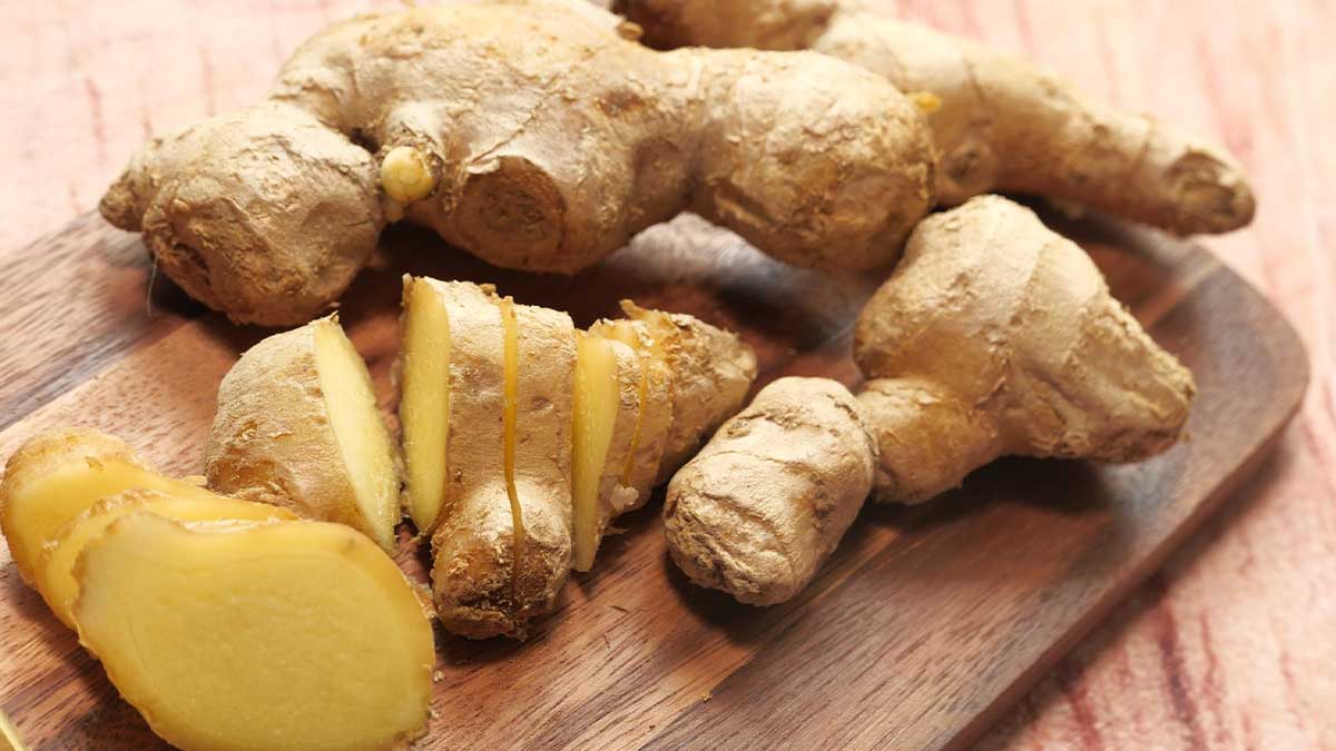 ginger harvest