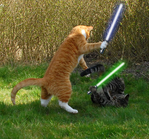 Jedi-Kitties.png