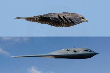 B-2-by-morther-nature-comparison-460x306.jpg