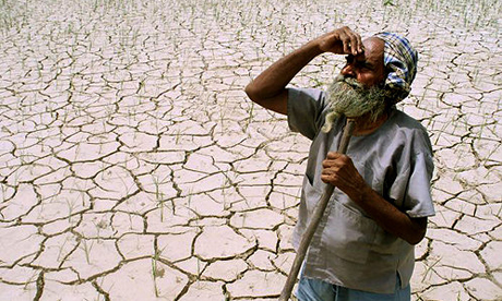 Indian-farmer-drought.jpg