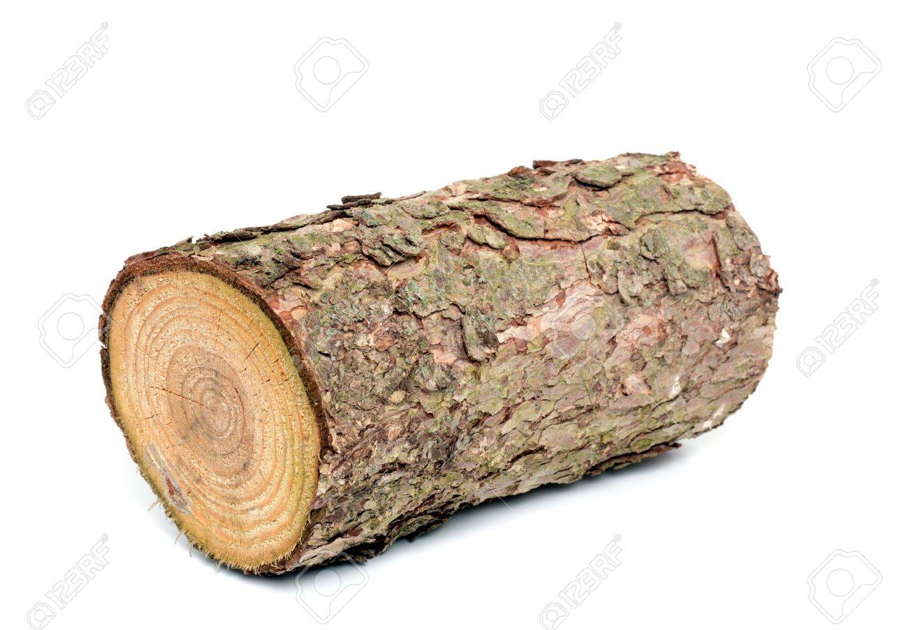 15568873-Wood-log-as-fire-wood-in-front-of-a-white-background-Stock-Photo.jpg