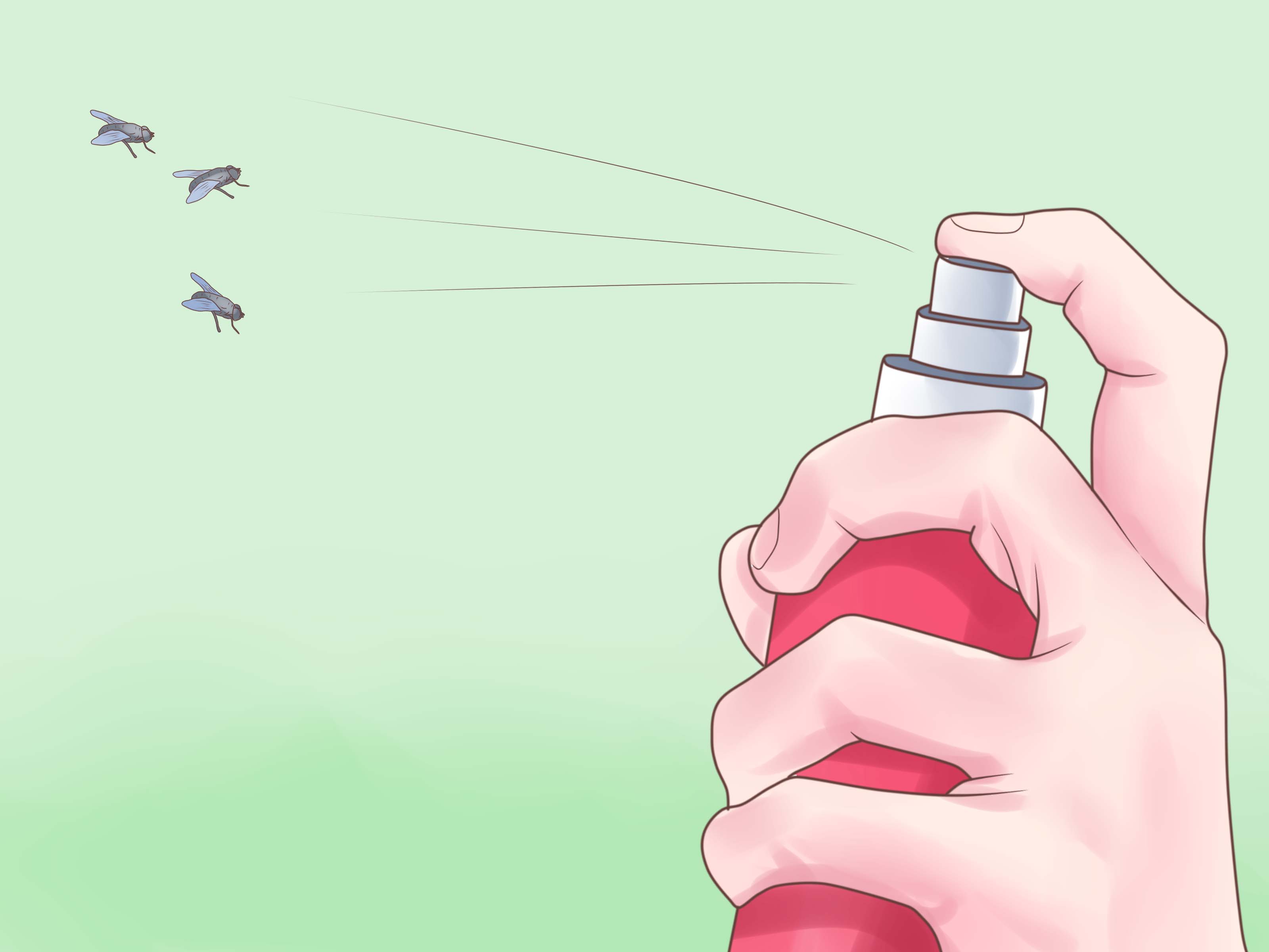 Make-a-Natural-Household-Fly-Spray-Step-8.jpg