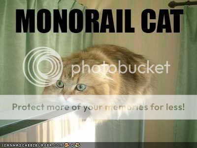 funny-pictures-monorail-cat1.jpg