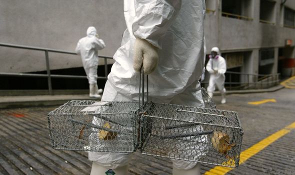 Chinese authorities cleaning the streets from plague