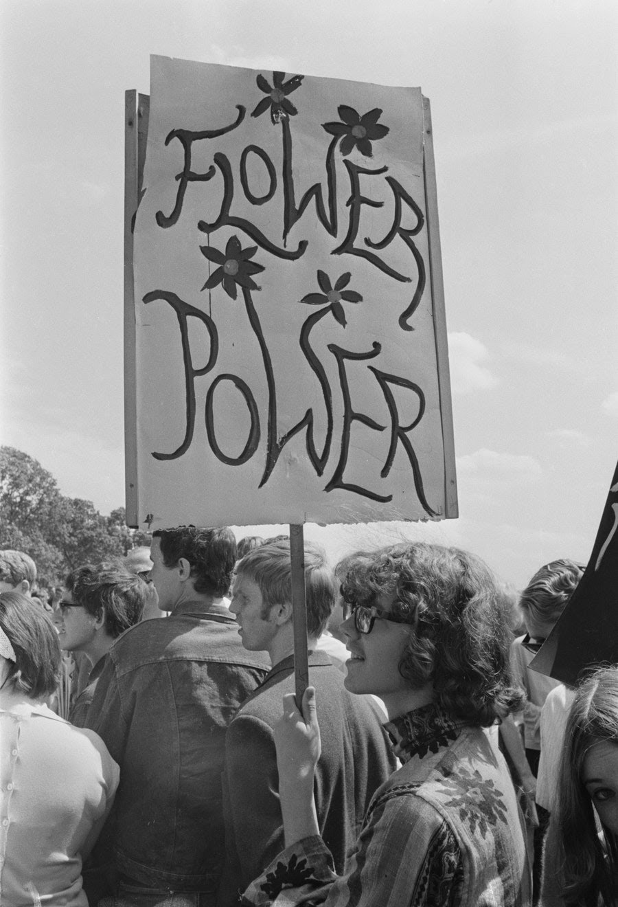 0617-resistance-in-bloom-hyde-park-demonstrators.jpg